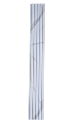 WPC Wall Covering 15x290x1cm White Marble