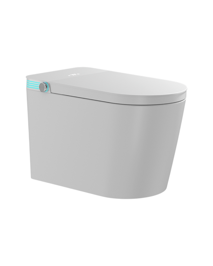 INODORO INTELIGENTE - 700*395*445 / 300MM - VERSIÓN ESTÁNDAR/BÁSICA - 311A/B