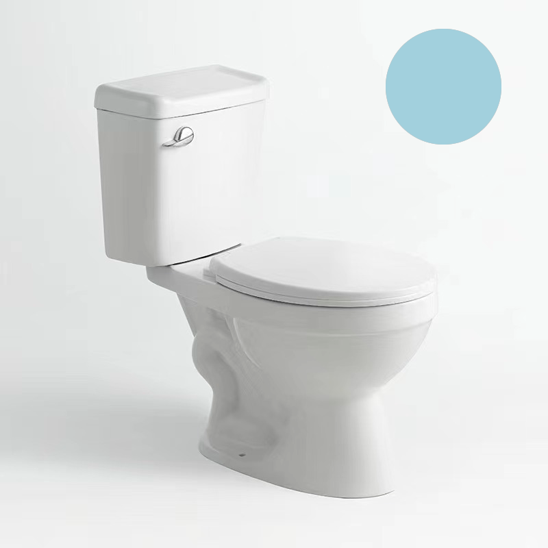 White toilet with two symphonic pieces