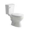 White toilet with two symphonic pieces