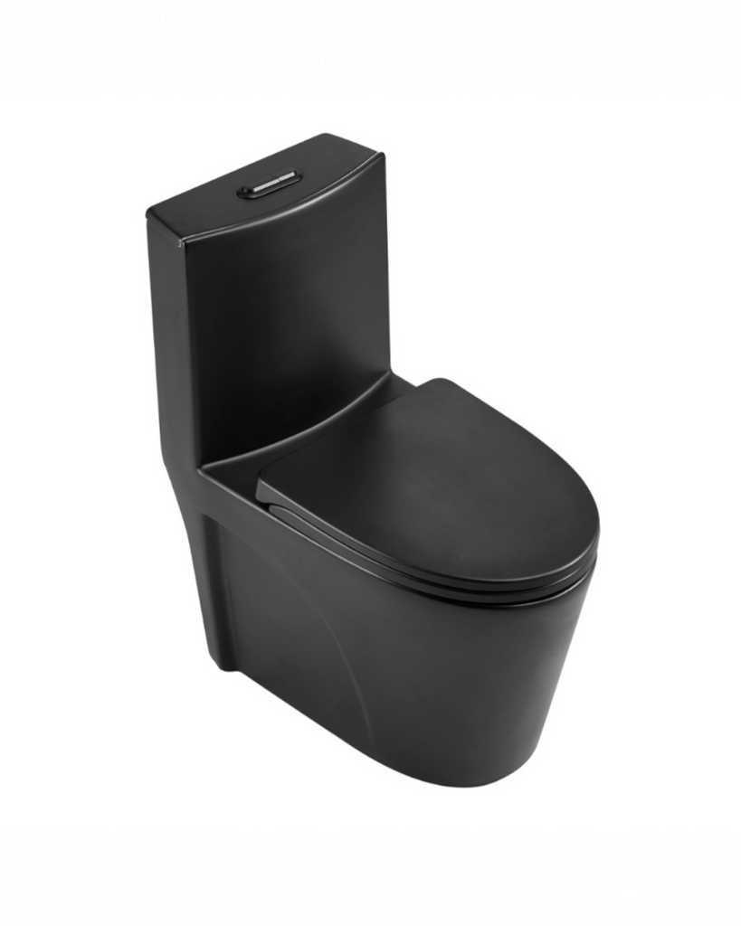 White toilet with two symphonic pieces