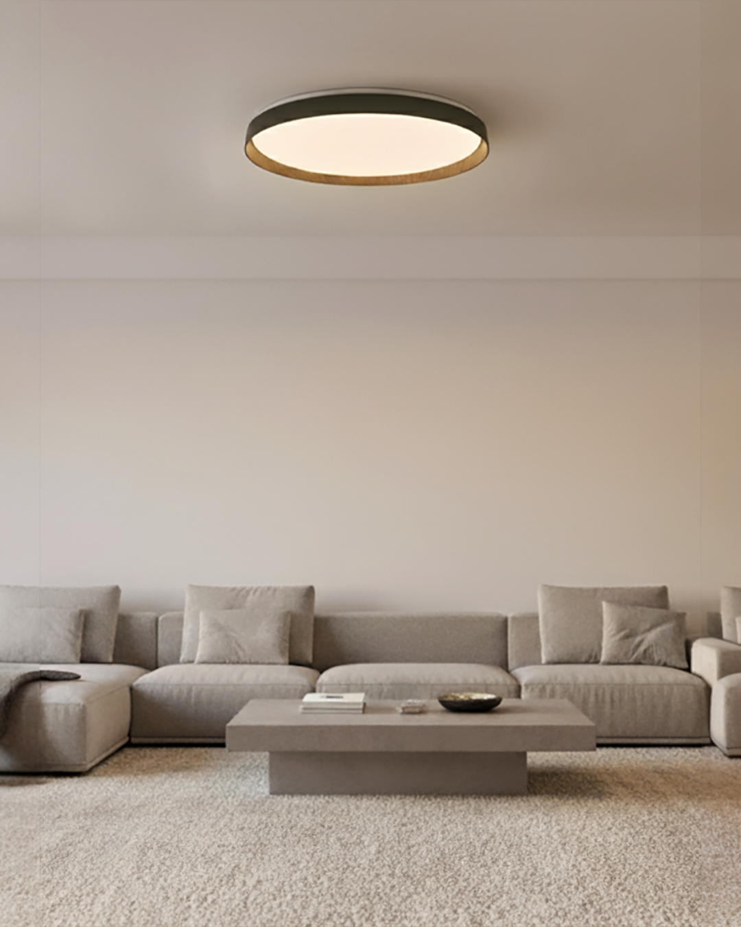 PLAFÓN TECHO LED NEGRO 12W 3CCT - TAMAÑO 275 MM - LUZ 3CCT AJUSTABLE - 12W