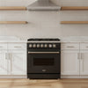 ESTUFA DE PISO A GAS CON HORNO 76 CM | DRIJA VENECIA 76-B | ACERO INOXIDABLE NEGRO